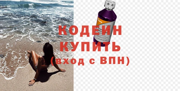 индика Нязепетровск