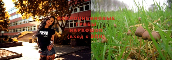 прущая мука Армянск